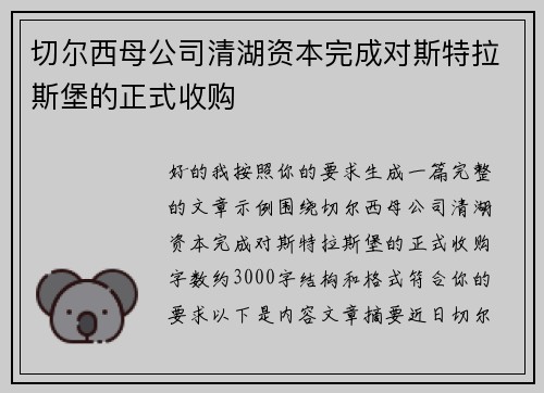 切尔西母公司清湖资本完成对斯特拉斯堡的正式收购 切尔西母公司清湖资本完成对斯特拉斯堡的正式收购